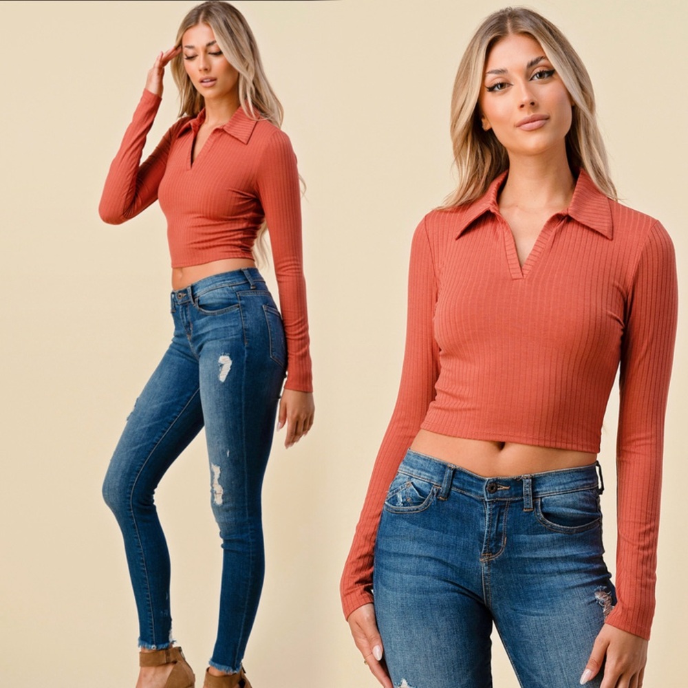 Crop collared long sleeve v neckline top